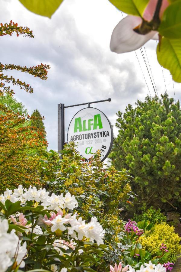 Agroturystyka Alfa Bystra  エクステリア 写真