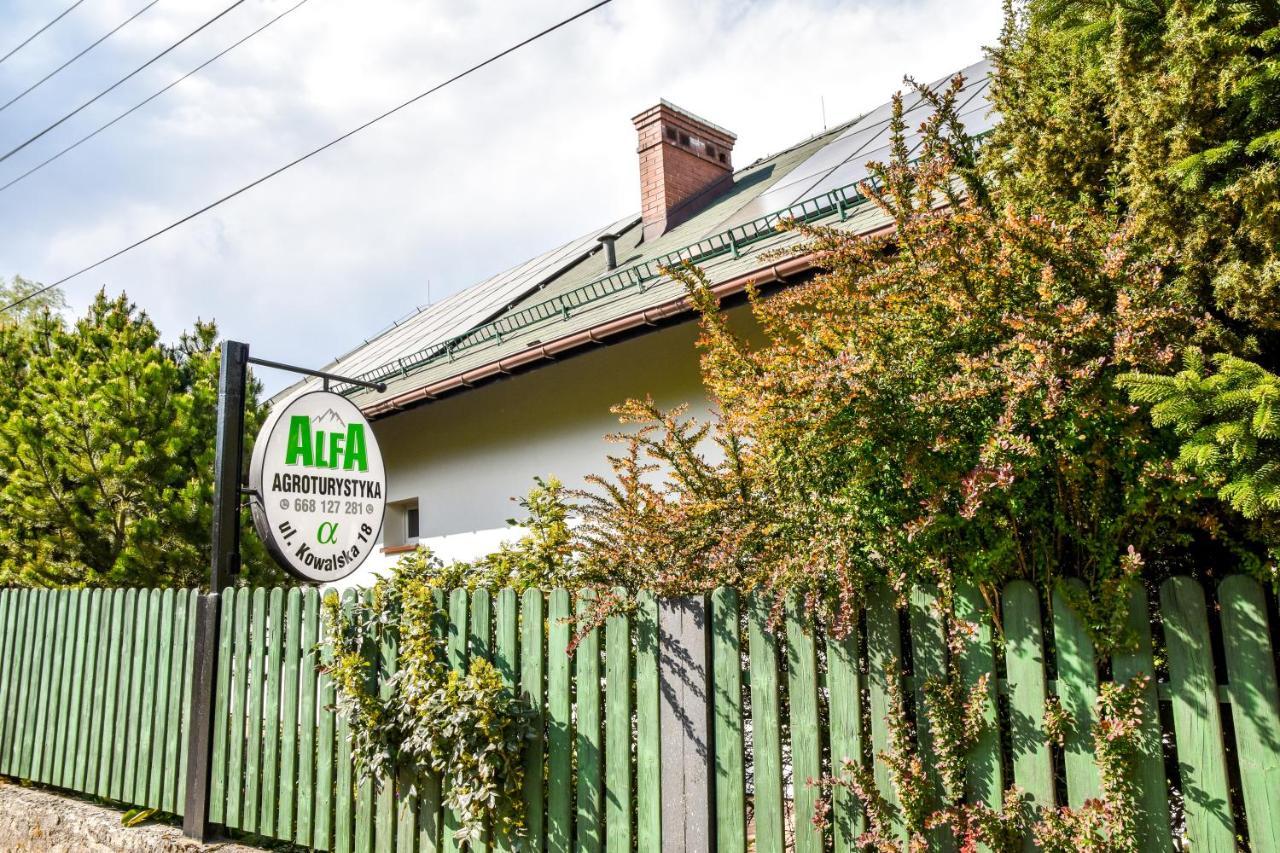 Agroturystyka Alfa Bystra  エクステリア 写真