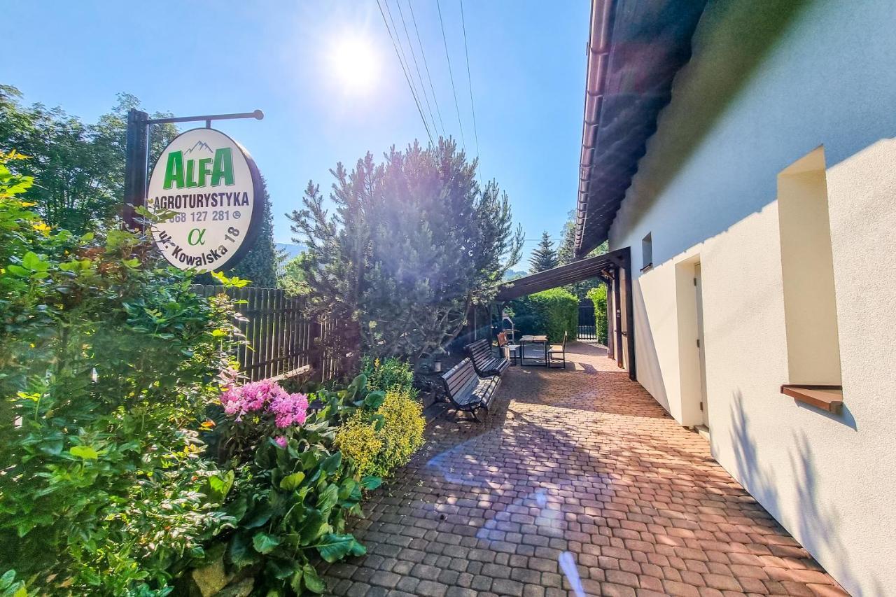 Agroturystyka Alfa Bystra  エクステリア 写真